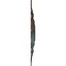 Ekena Millwork Orleans Medallion (Canopies up to 8 1/4"), 38 3/8"OD x 6 5/8"ID x 2 7/8"P, Bronze Blue Patina CM38OLBBS - alternate 4